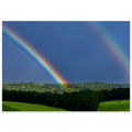 95f12300-2541-4b2f-a850-7562d632f838