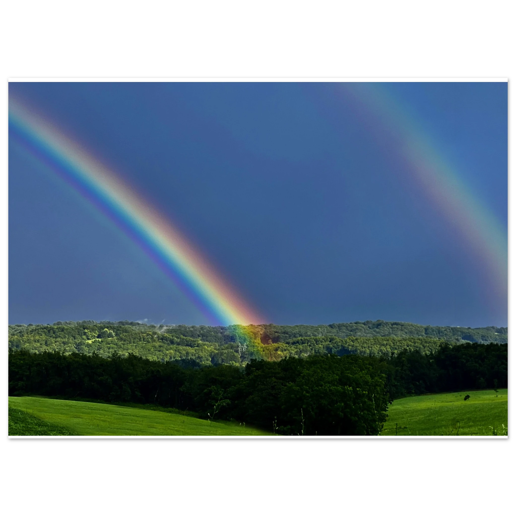 95f12300-2541-4b2f-a850-7562d632f838